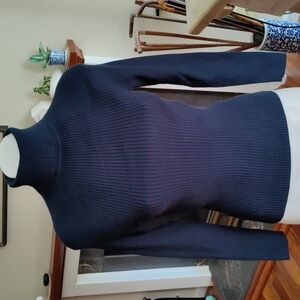 NWOT BANANA REPUBLIC Turtleneck Sweater Navy SP
